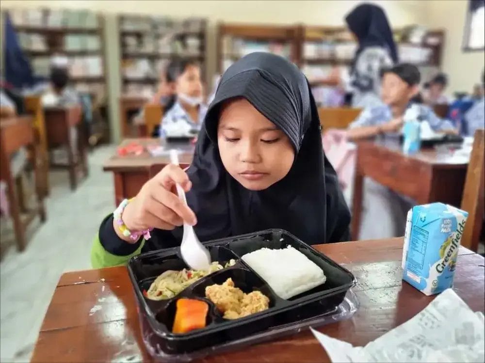 Optimalisasi Peran UMKM dalam Mendukung Program Makan Bergizi Gratis (MBG)