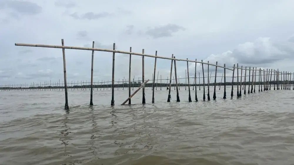 Sertifikat Laut, Modus Kecurangan dari Tangerang hingga Makassar